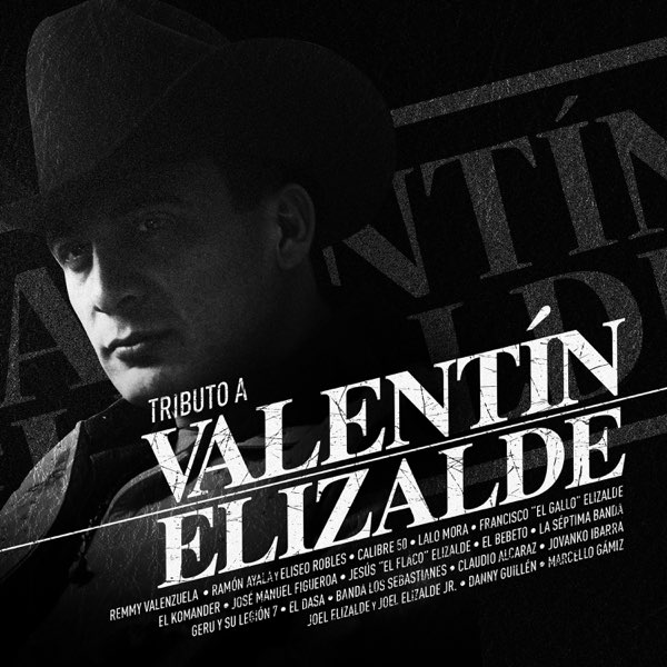 Tributo A Valentín Elizalde de Varios Artistas en Apple Music