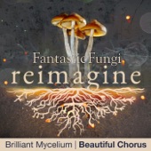 Brilliant Mycelium (Fantastic Fungi: Reimagine) artwork