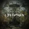Leviathan (Instrumental) - Single album lyrics, reviews, download