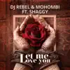 Let Me Love You (feat. Shaggy) song lyrics