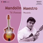Mandolin Maestro artwork