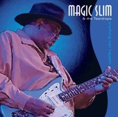 Magic Slim - I'm a Bluesman (Live)