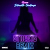 Streets [Silhoutte Challenge] - Remix by Nieem iTunes Track 1