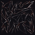 goofkid & bummer - Ciconiatwo