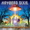 Bad Moon Rising - Hayseed Dixie lyrics