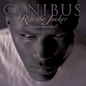 Rip The Jacker Instrumentals