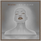 Lined in Silver (Instrumental) artwork