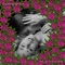 Pleasure - Zukeepa lyrics