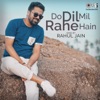 Do Dil Mil Rahe Hain (Cover Version) - Single