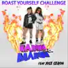 Roast Yourself Challenge - Single album lyrics, reviews, download