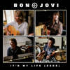 It's My Life (2003 Acoustic Version) - Bon Jovi