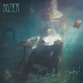 Hozier - Nina Cried Power (feat. Mavis Staples)