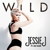 Wild (feat. Big Sean) artwork