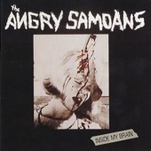 Angry Samoans - Right Side of My Mind