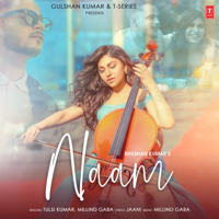 Tulsi Kumar & Millind Gaba - Naam - Single artwork