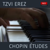 Chopin: Études artwork