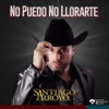 No Puedo No Llorarte - Single