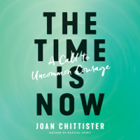 Joan Chittister - The Time Is Now: A Call to Uncommon Courage (Unabridged) artwork