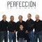 Tu Negro Santo - Perfeccion lyrics