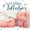 Sweet Babies Lullabies