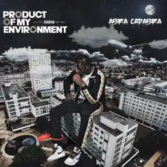 Product of My Environment by Abra Cadabra album reviews, ratings, credits