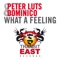 What a Feeling (feat. Dominico) - Peter Luts lyrics