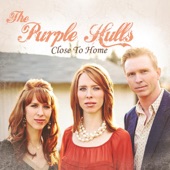 The Purple Hulls - No Power in the Water