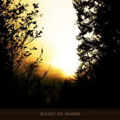 Asleep in Amber by Hilyard album reviews, ratings, credits