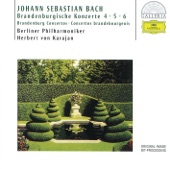 Bach: Brandenburg Concertos Nos. 4, 5 & 6 artwork