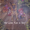 No Love for a Dog?