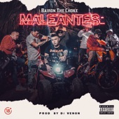 Maleantes (feat. DJ Venon) artwork