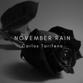 November Rain (Remix) artwork