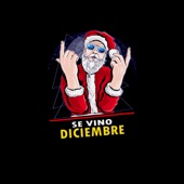 Se Vino Diciembre artwork