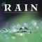 # Rain (feat. Meditation Music Zone) - Healing Rain Sound Academy lyrics