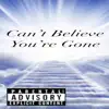 Can't Believe You're Gone - Single album lyrics, reviews, download