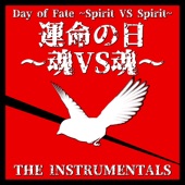 Day of Fate ~Spirit VS Spirit~ (Instrumental) artwork
