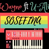 Sosefina (feat. UAli) artwork