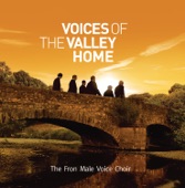 Voices of the Valley: Home artwork