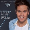 Falls Du's noch nicht weisst - Single