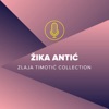 Žika Antić (Zlaja Timotić Collection), 2018
