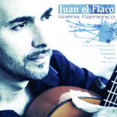 Suena Flamenco - Juan el Flaco
