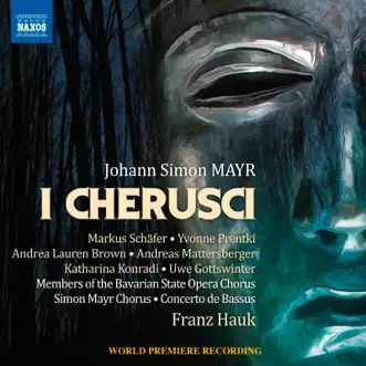 Mayr: I Cherusci by Franz Hauk, Concerto de Bassus, Markus Schäfer, Yvonne Prentki, Andreas Mattersberger, Andrea Lauren Brown, Uwe Gottswinter & Katharina Konradi album reviews, ratings, credits