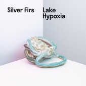 Silver Firs - Versions of You