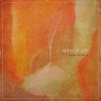 Marc Scibilia - Seed of Joy artwork