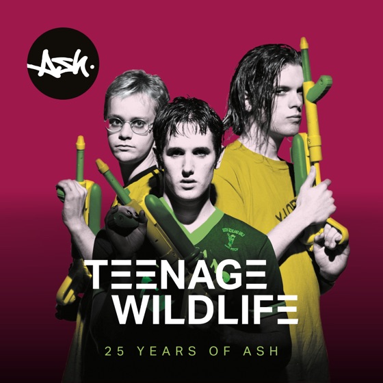 Cover artwork for Wasted On You