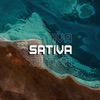 Sativa (Remix) - Single
