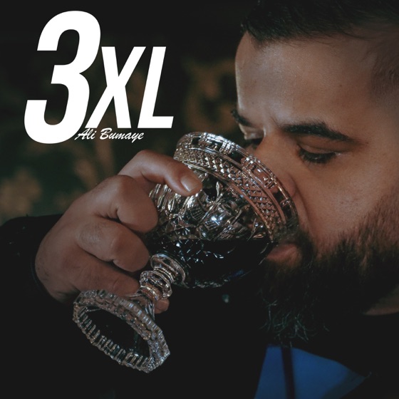 Cover artwork for 3XL