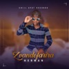 Zvandofarira - Single