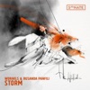 Storm - Single