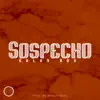 Stream & download Sospecho - Single